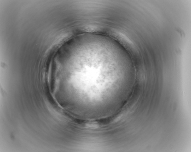 X0000090890214200708101408