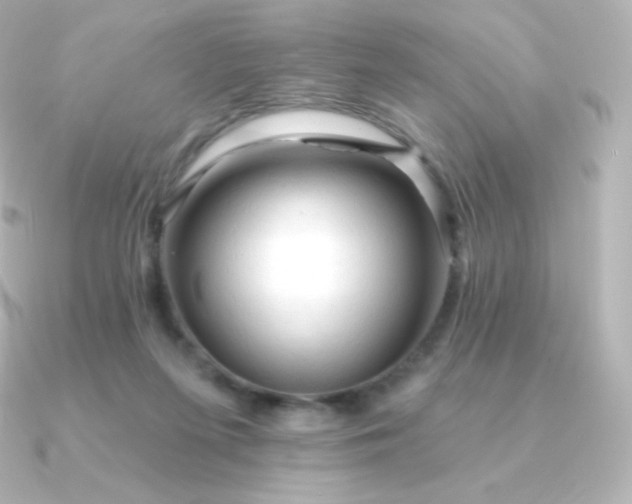 X0000090890215200708101408