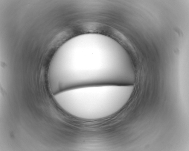 X0000090890217200708101408