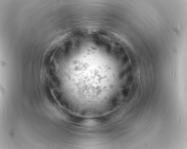 X0000090890218200708101408