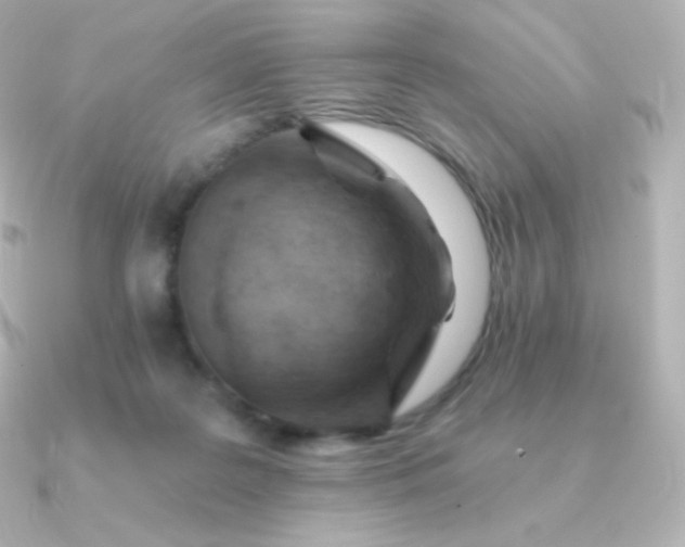 X0000090890219200708101408