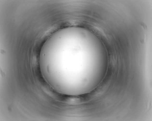 X0000090890220200708101408