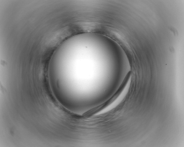 X0000090890221200708101408