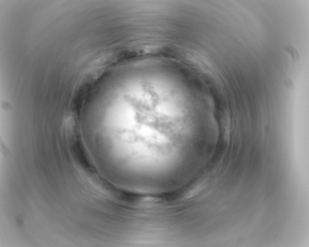 X0000090890222200708101408