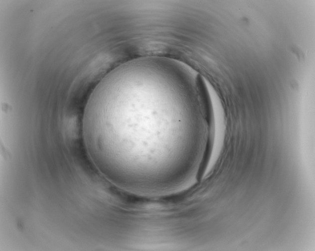 X0000090890224200708101408