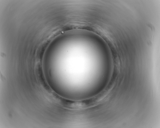 X0000090890225200708101408