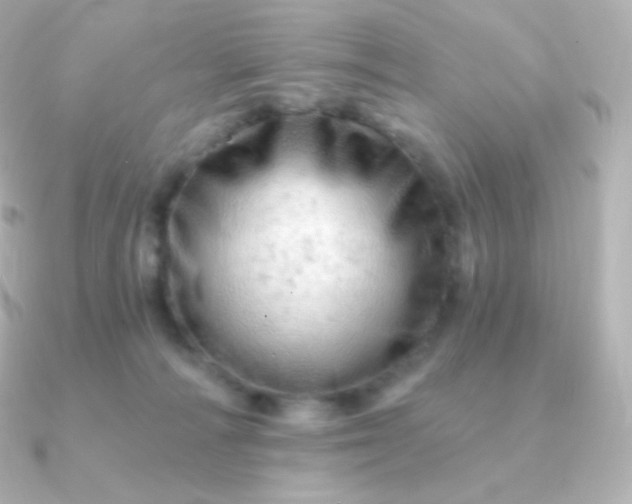 X0000090890226200708101408