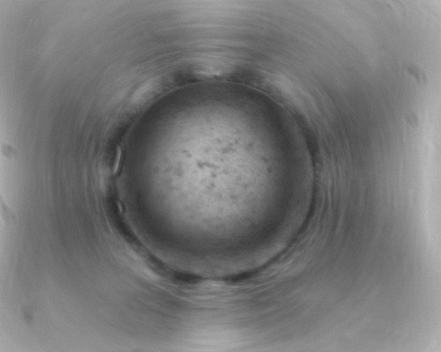 X0000090890227200708101408