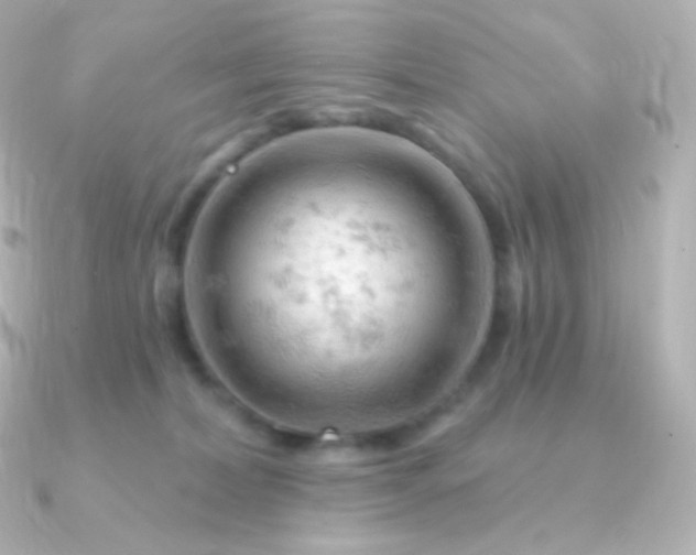 X0000090890228200708101408