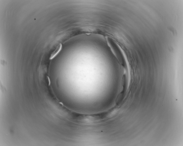 X0000090890229200708101408