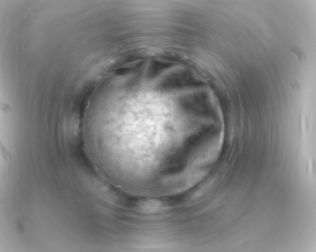 X0000090890230200708101408