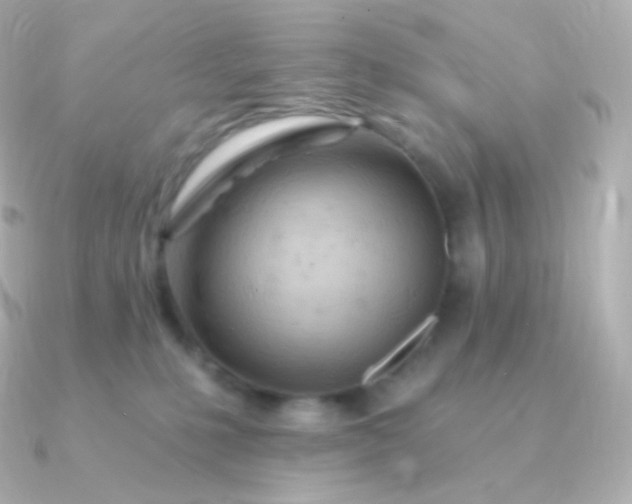 X0000090890231200708101408