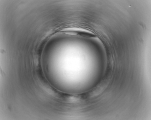 X0000090890232200708101408