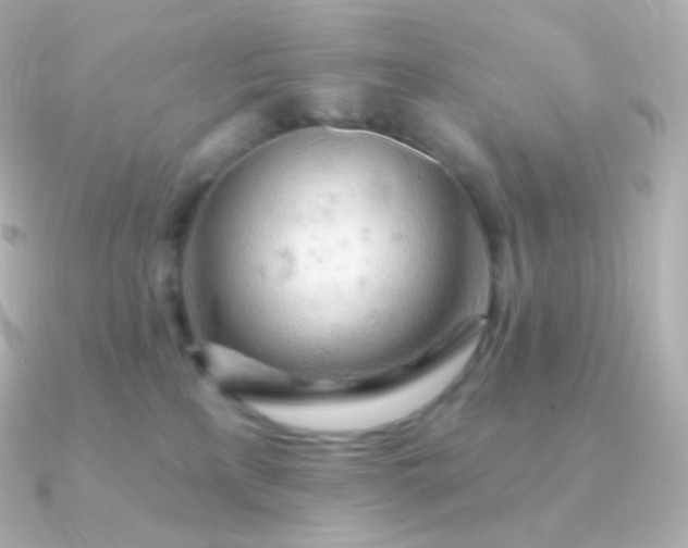 X0000090890233200708101408