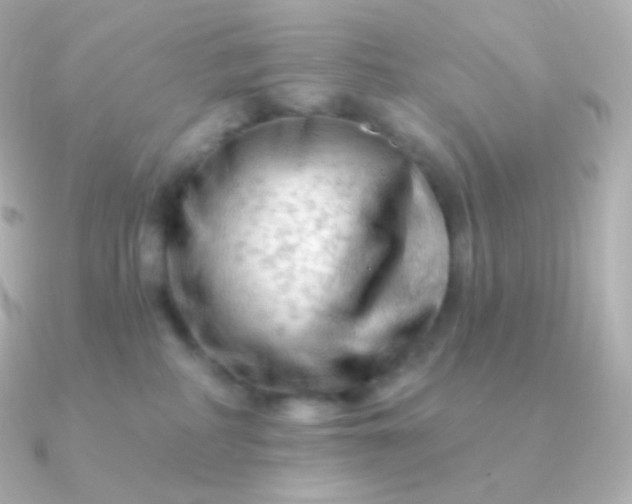 X0000090890234200708101408