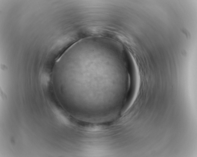 X0000090890235200708101408