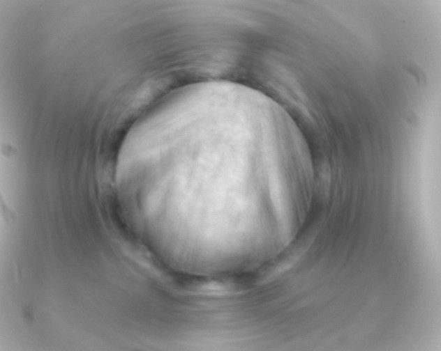 X0000090890236200708101408