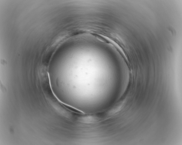 X0000090890237200708101408