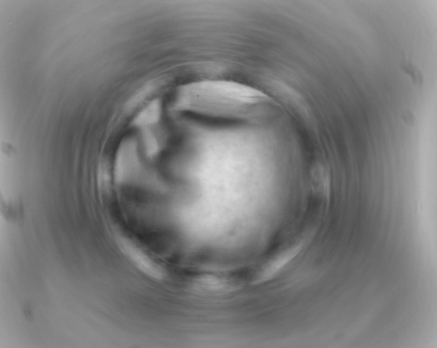 X0000090890238200708101408