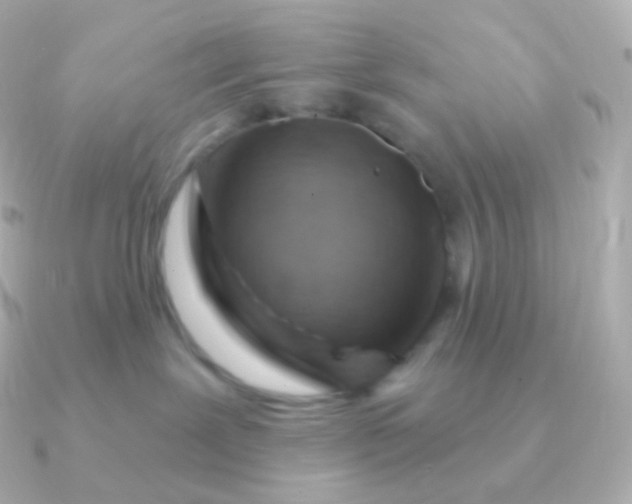 X0000090890239200708101408