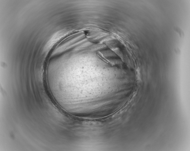 X0000090890242200708101407