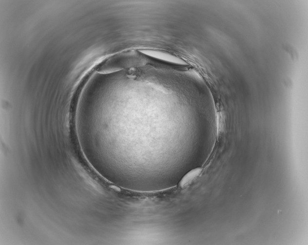 X0000090890243200708101407