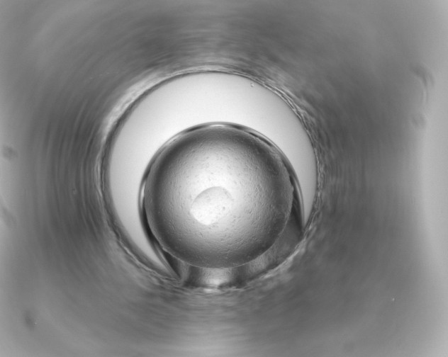 X0000090890244200708101407