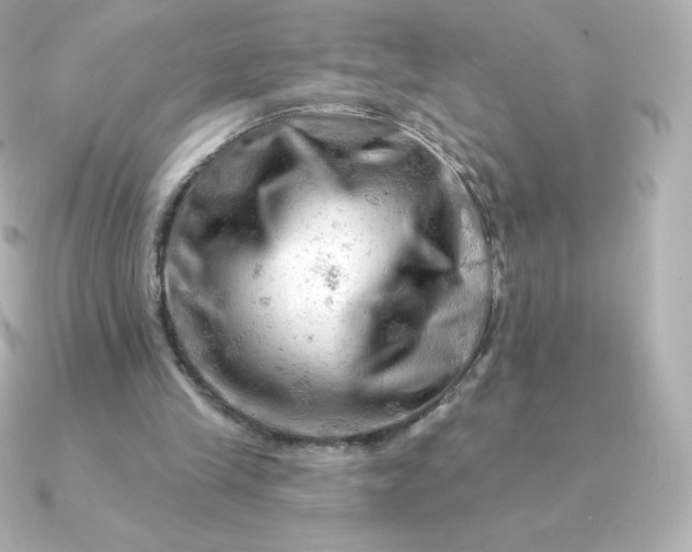 X0000090890245200708101407