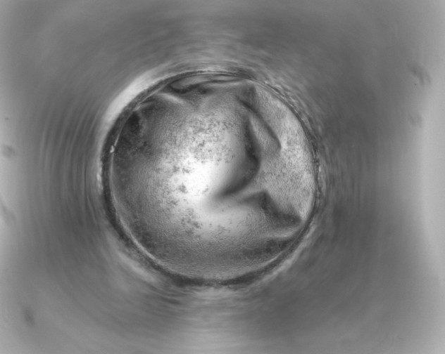 X0000090890246200708101407