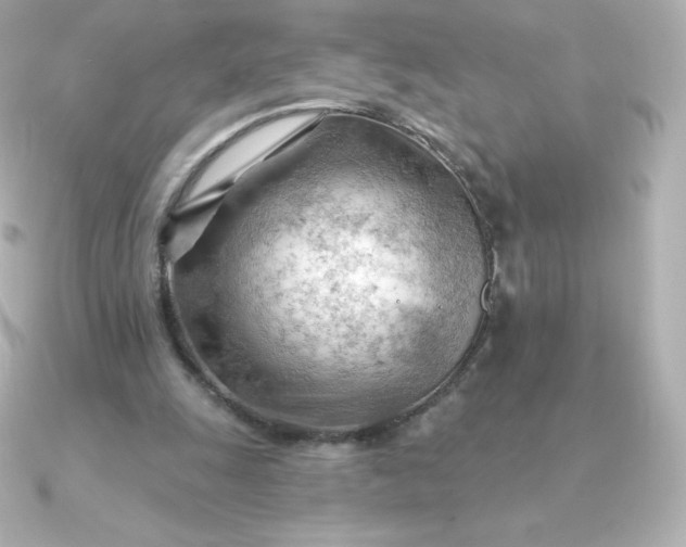 X0000090890247200708101407