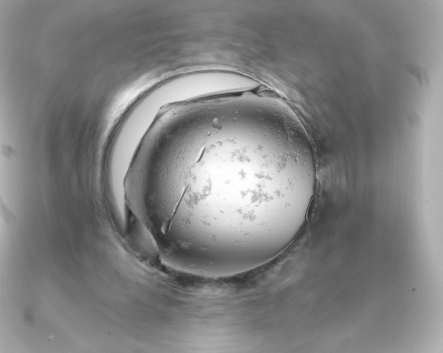 X0000090890248200708101407