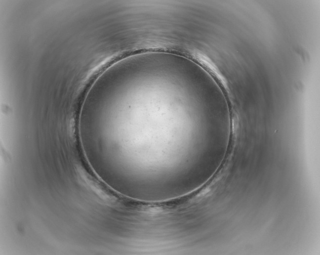 X0000090890249200708101407