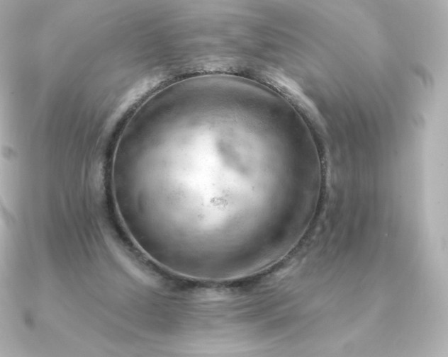 X0000090890250200708101407