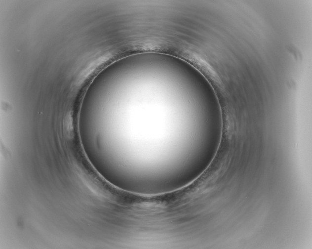 X0000090890251200708101407