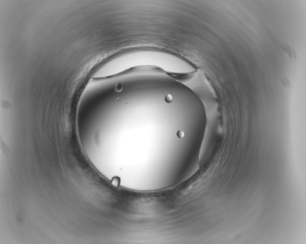 X0000090890252200708101407