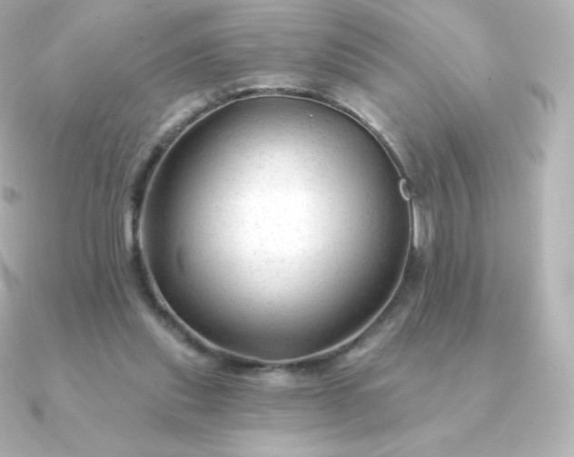 X0000090890253200708101407