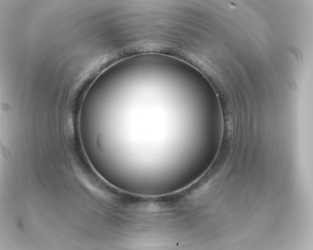 X0000090890254200708101407