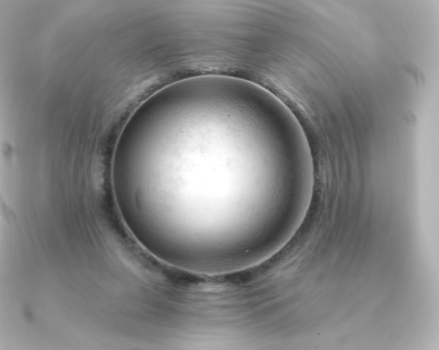 X0000090890255200708101407