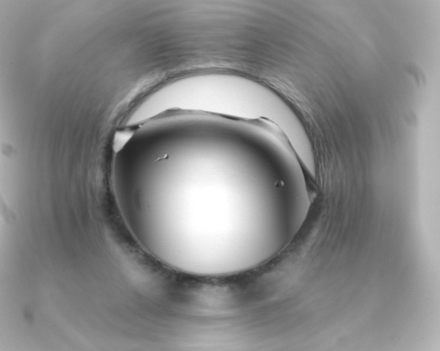 X0000090890256200708101407