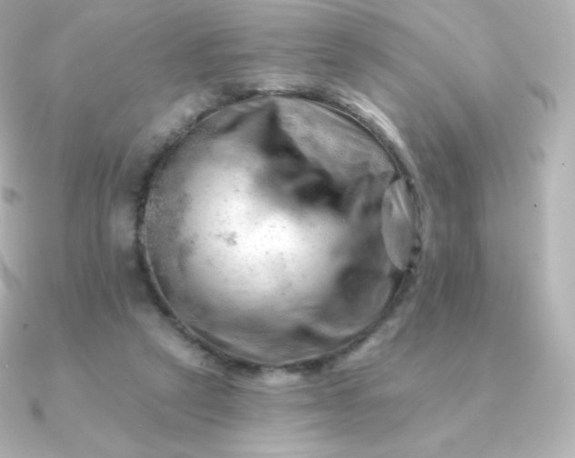 X0000090890257200708101407