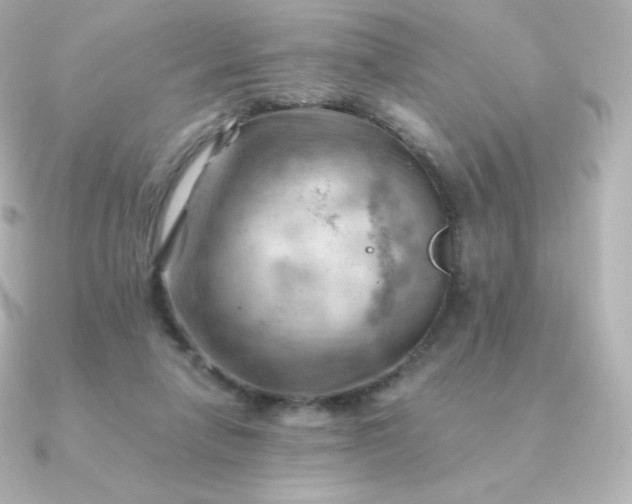 X0000090890258200708101407