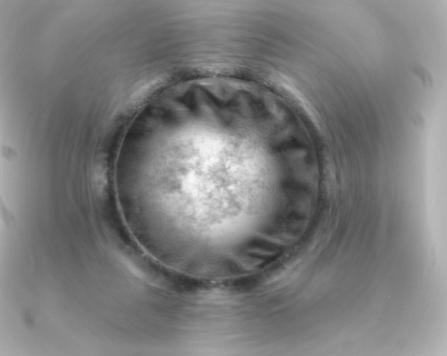 X0000090890259200708101407