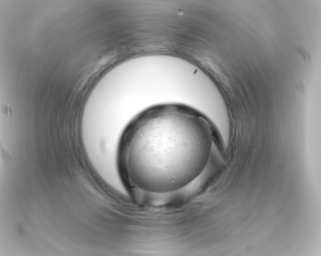 X0000090890260200708101407