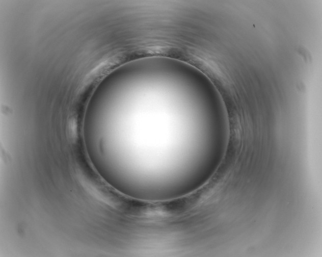 X0000090890262200708101407