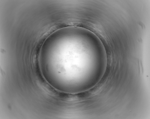 X0000090890263200708101407