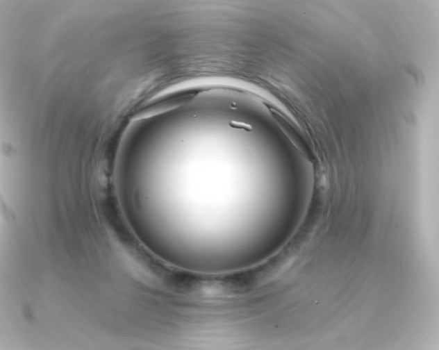 X0000090890264200708101407