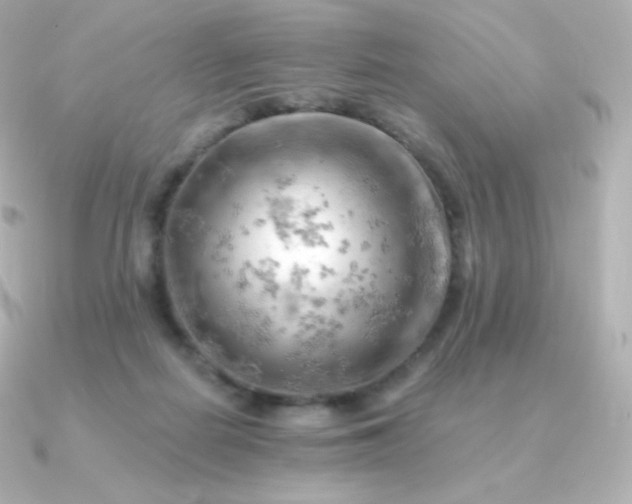 X0000090890266200708101407