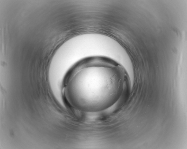 X0000090890268200708101407