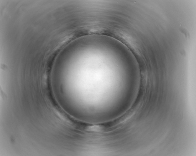 X0000090890269200708101407