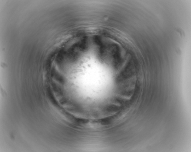 X0000090890270200708101407